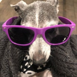 Meet your Posher, Jill